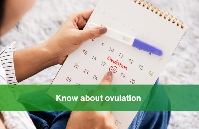 What You Need to Know About Ovulation