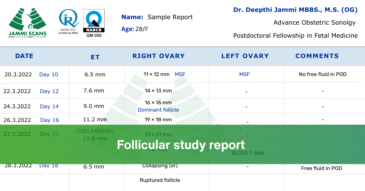 Follicular study report