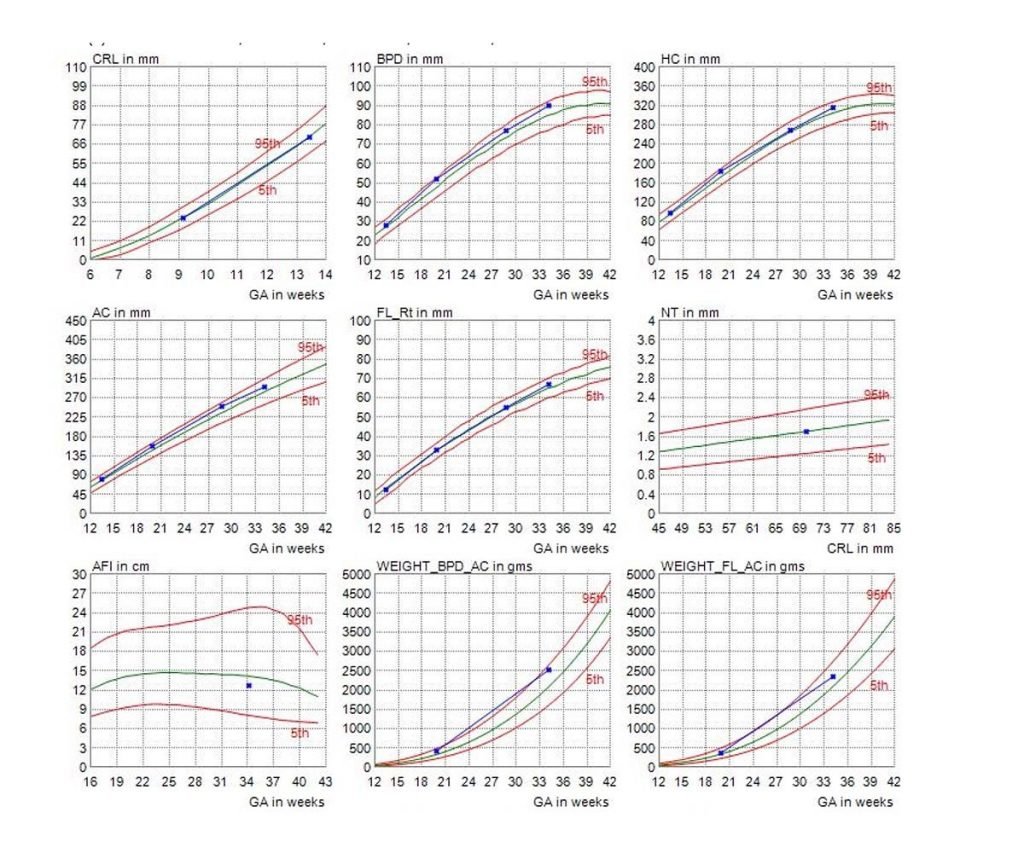 growth scan report 1