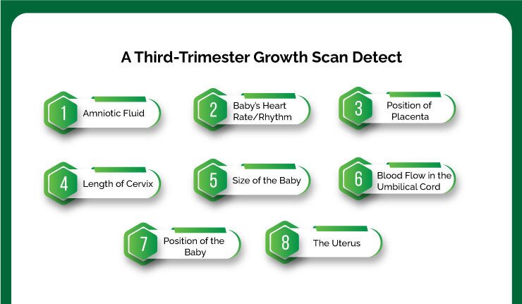 Growth Scan Detects