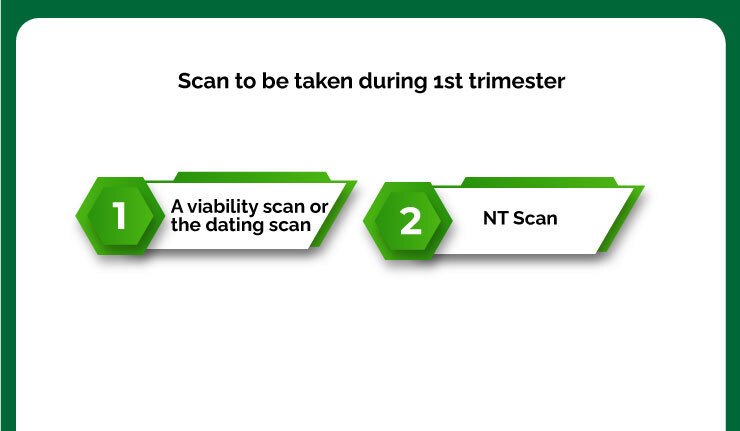 Scans to be taken in 1st trimester