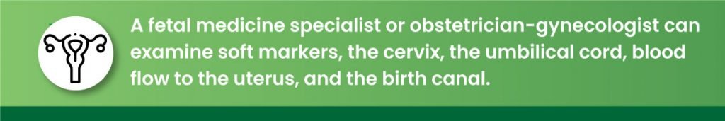 A fetal medicine specialist or obstetrician-gynecologist can examine soft markers