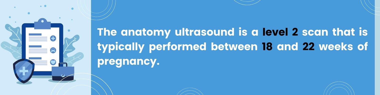 anatomyultrasound