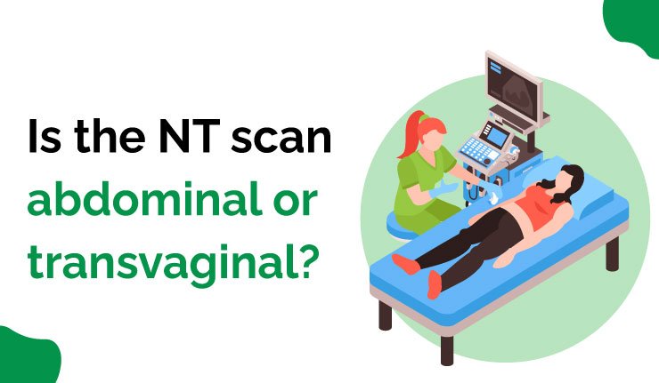 NT scan abdominal or transvagina