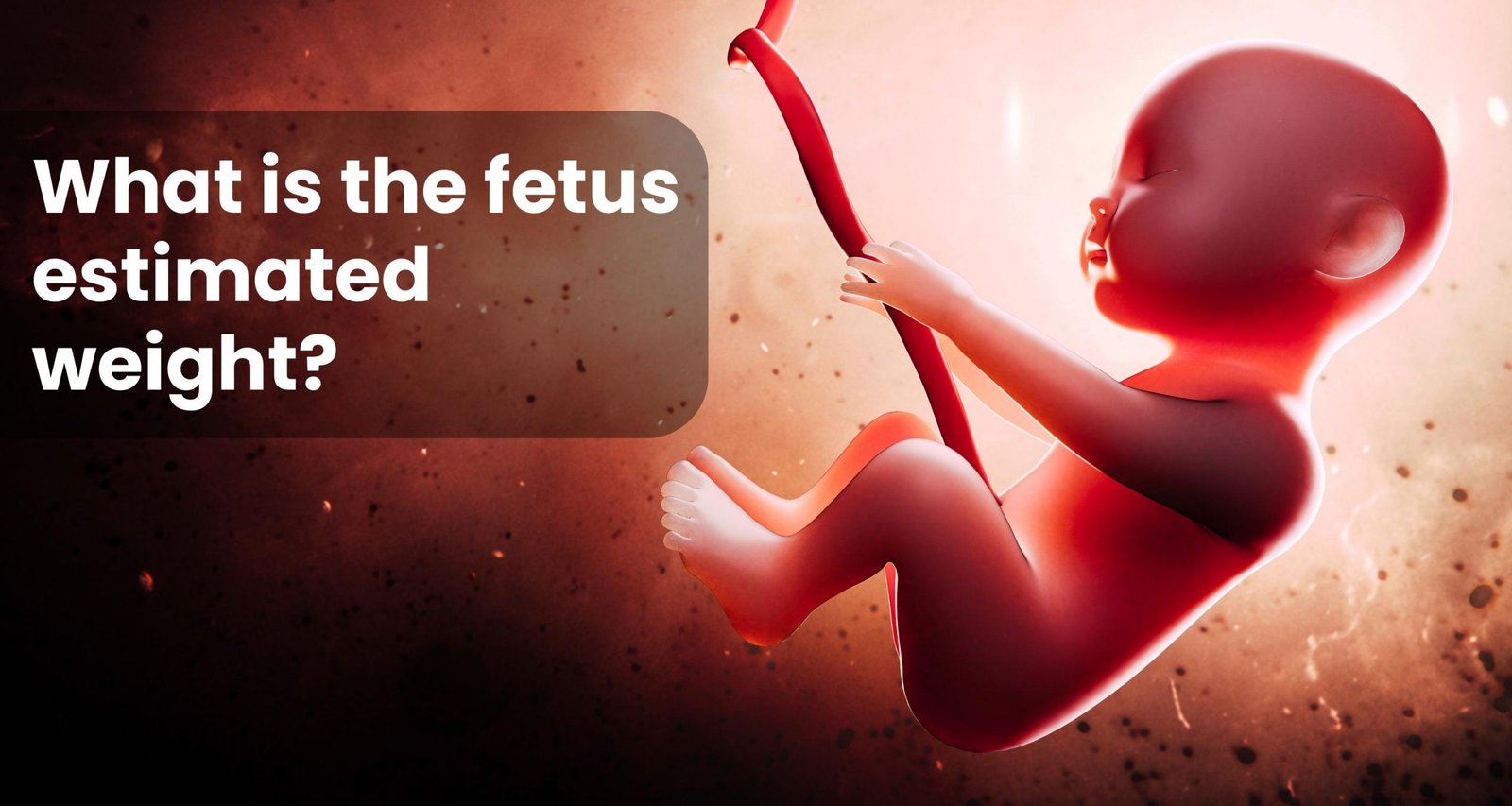 what is the fetus estimated weight