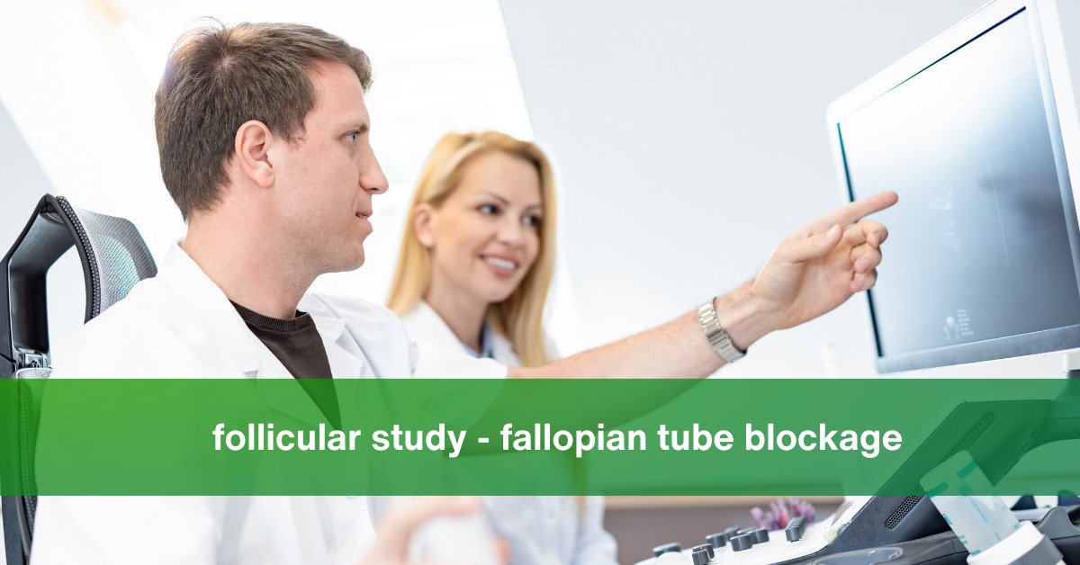 Can follicular study detect fallopian tube blockage