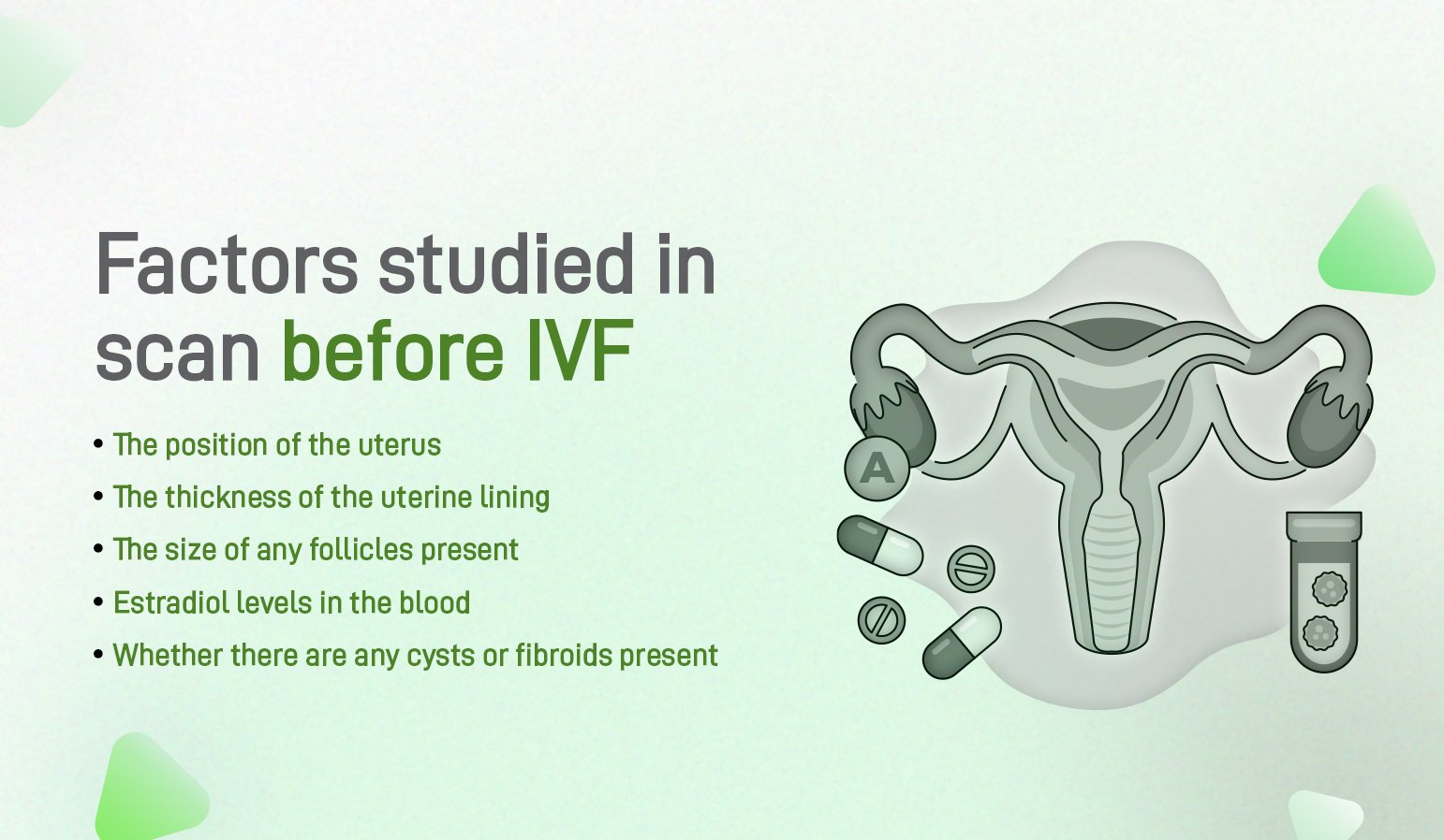 factors studied in scan before ivf