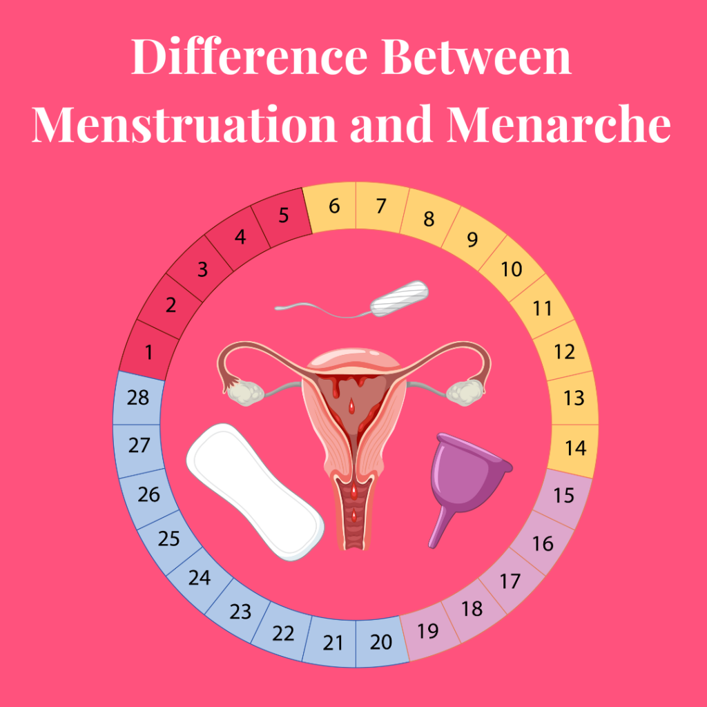 difference between menstruation and menarche