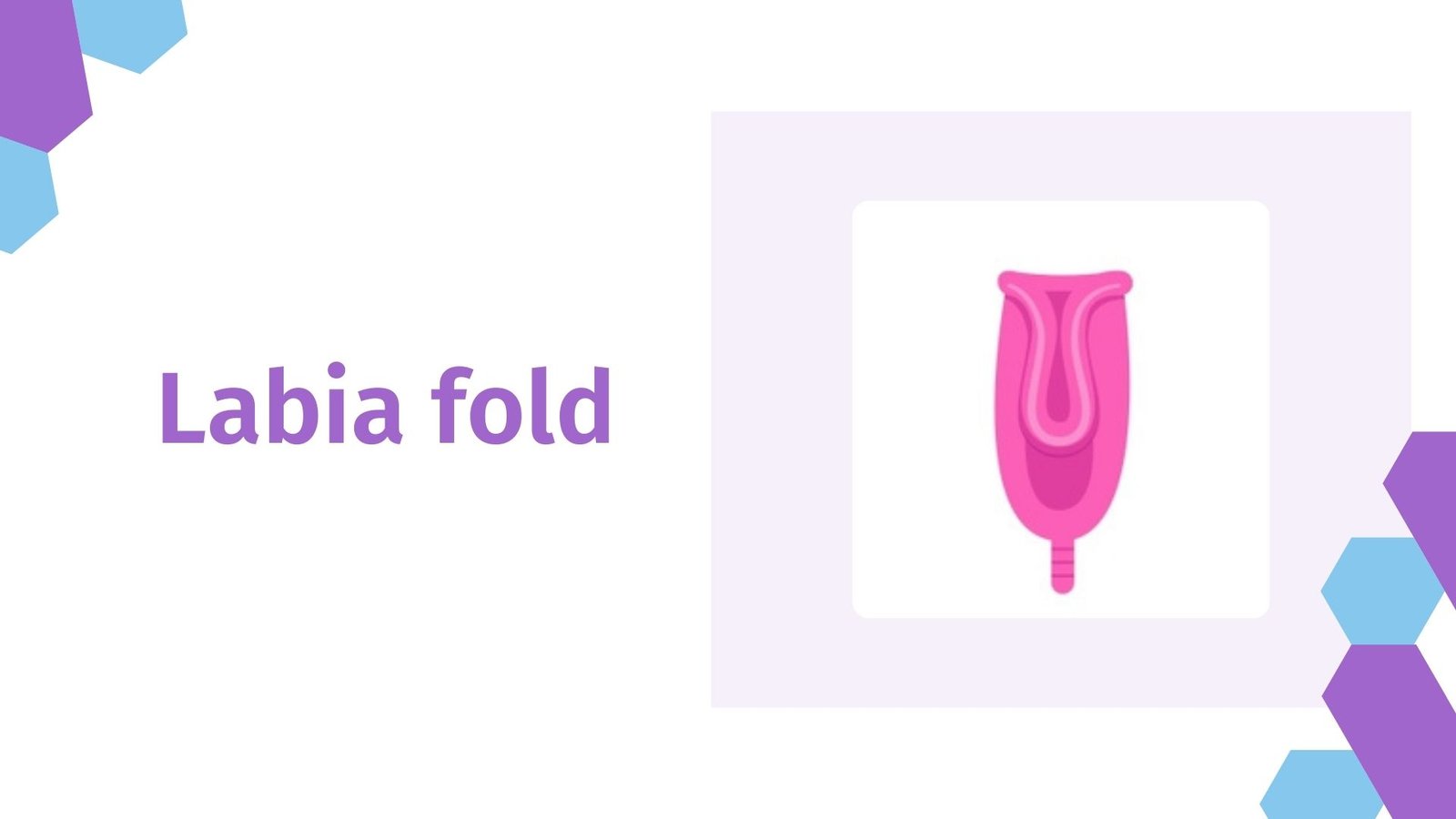 The Ultimate 10 best Menstrual Cup Folds Guide for a Leak-Free Period