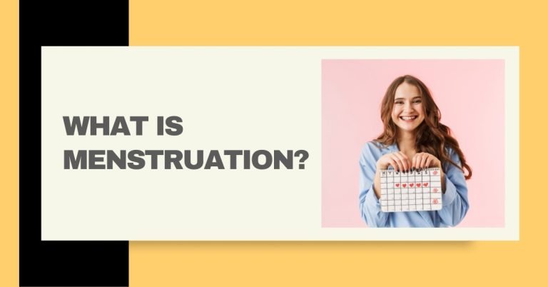 Menstruation: A Comprehensive Guide in 2024 - What every women need to know