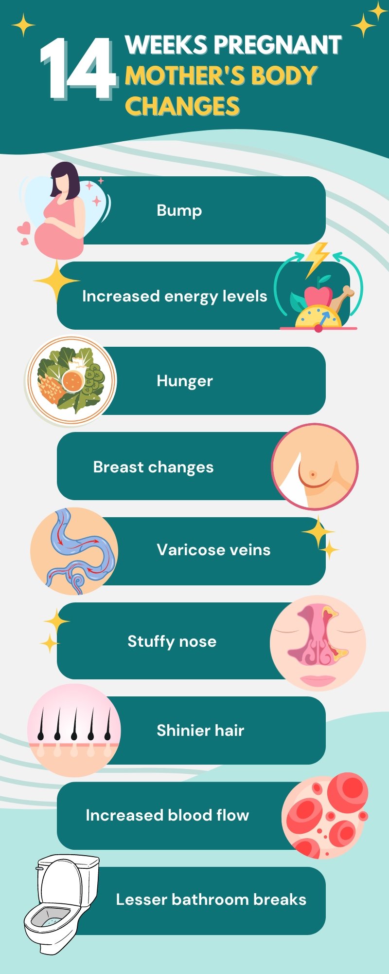 14 weeks pregnant - Mother's body changes