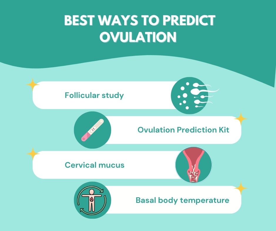 best ways to predict ovulation