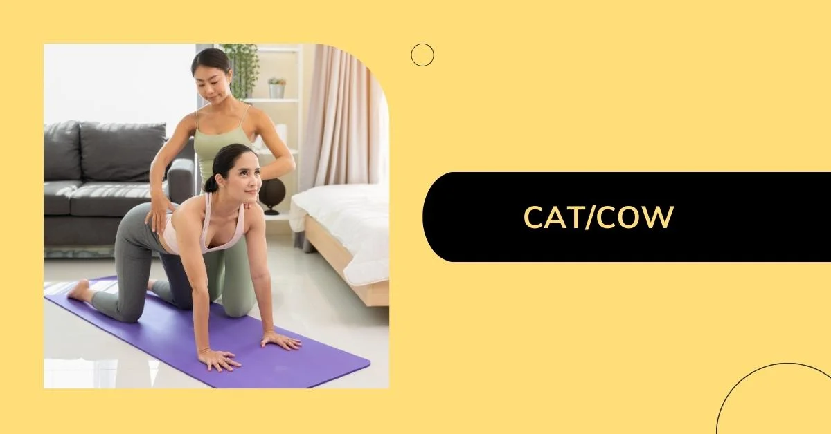 Cat/Cow Marjaryasana