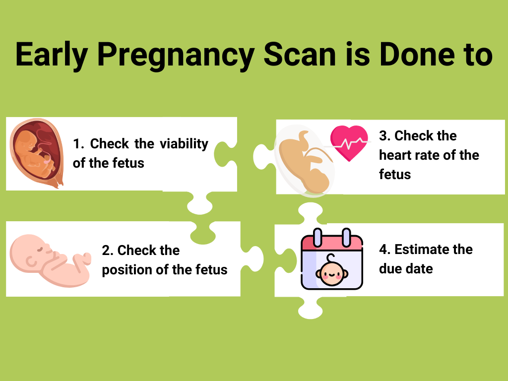 Early Pregnancy Scan is Done to